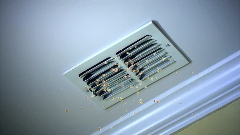 Best Residential Air Duct Cleaning  in Rose Hill, NC
