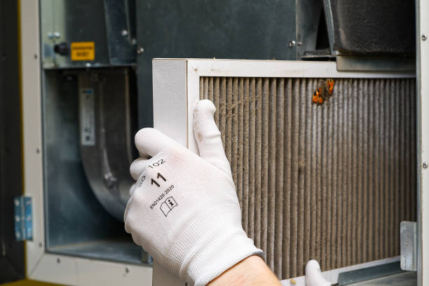 Best Duct Cleaning for Homes  in Rose Hill, NC