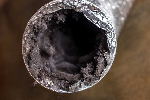 HVAC System Cleaning in Rose Hill, NC