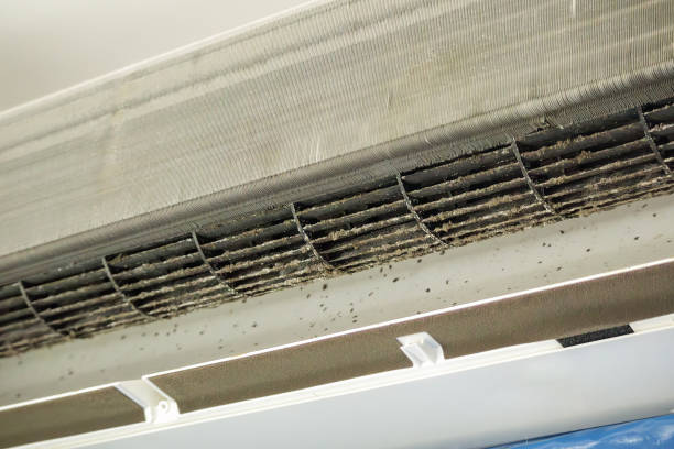 Best HVAC System Cleaning  in Rose Hill, NC